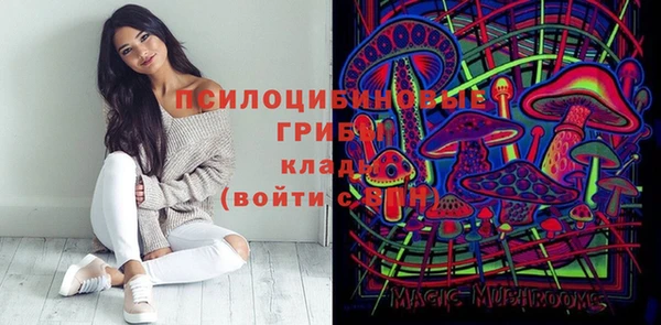 spice Бугульма