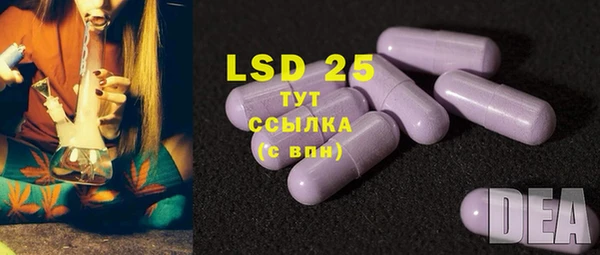 spice Бугульма